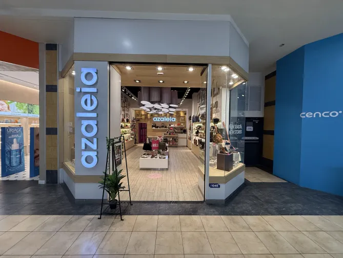 azaleia cenco florida