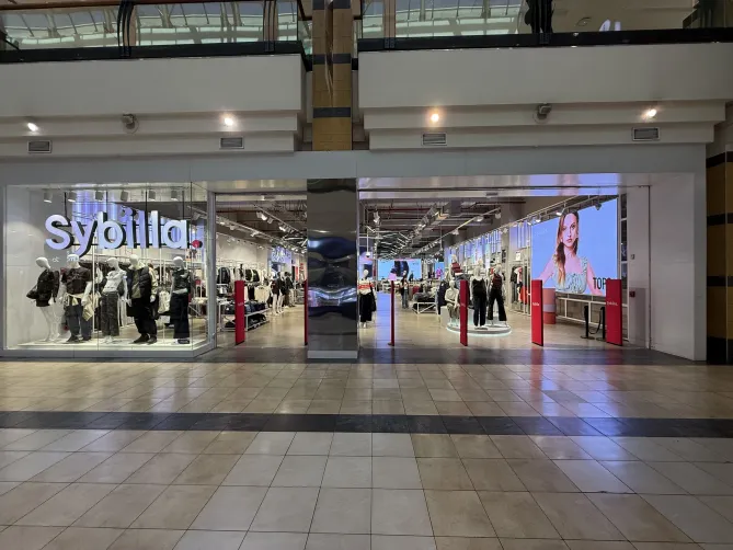 sybilla cenco florida